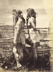 Maori-Studie, ca. 1870